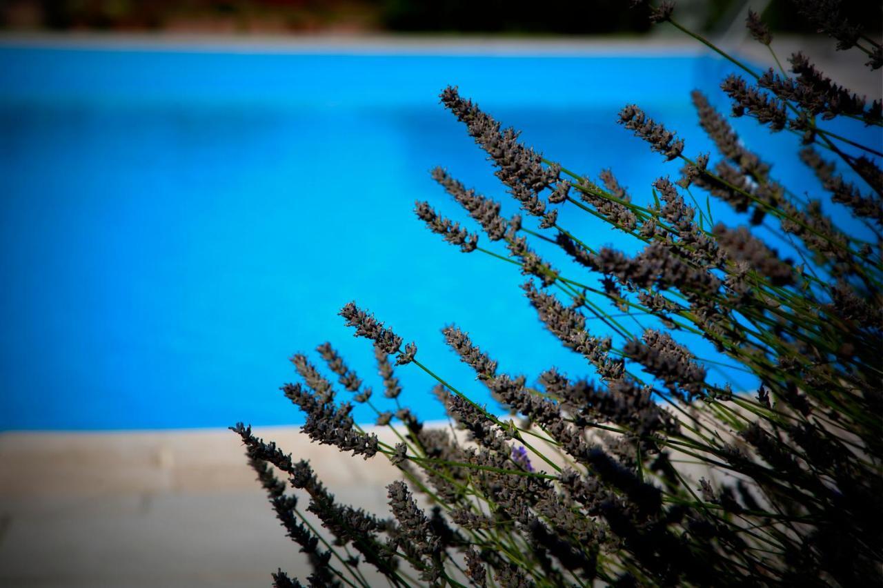 Agriturismo Girolomoni - Locanda Isola del Piano Buitenkant foto